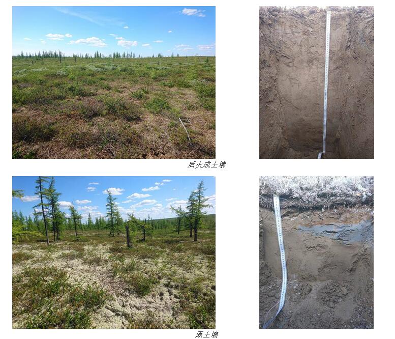 1608099978125953.jpg 2.jpg